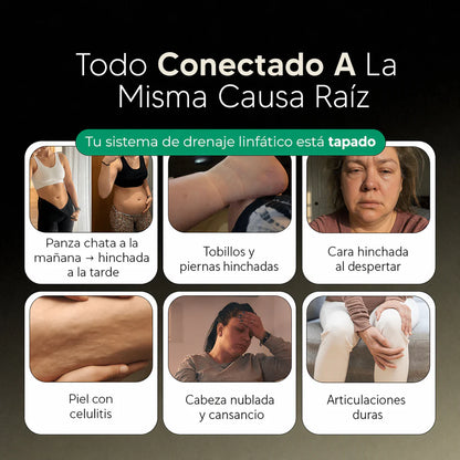 Nueva Fórmula de Máxima Concentración — Cápsulas de Drenaje Linfático by Zent™