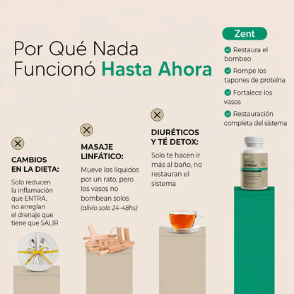Nueva Fórmula de Máxima Concentración — Cápsulas de Drenaje Linfático by Zent™